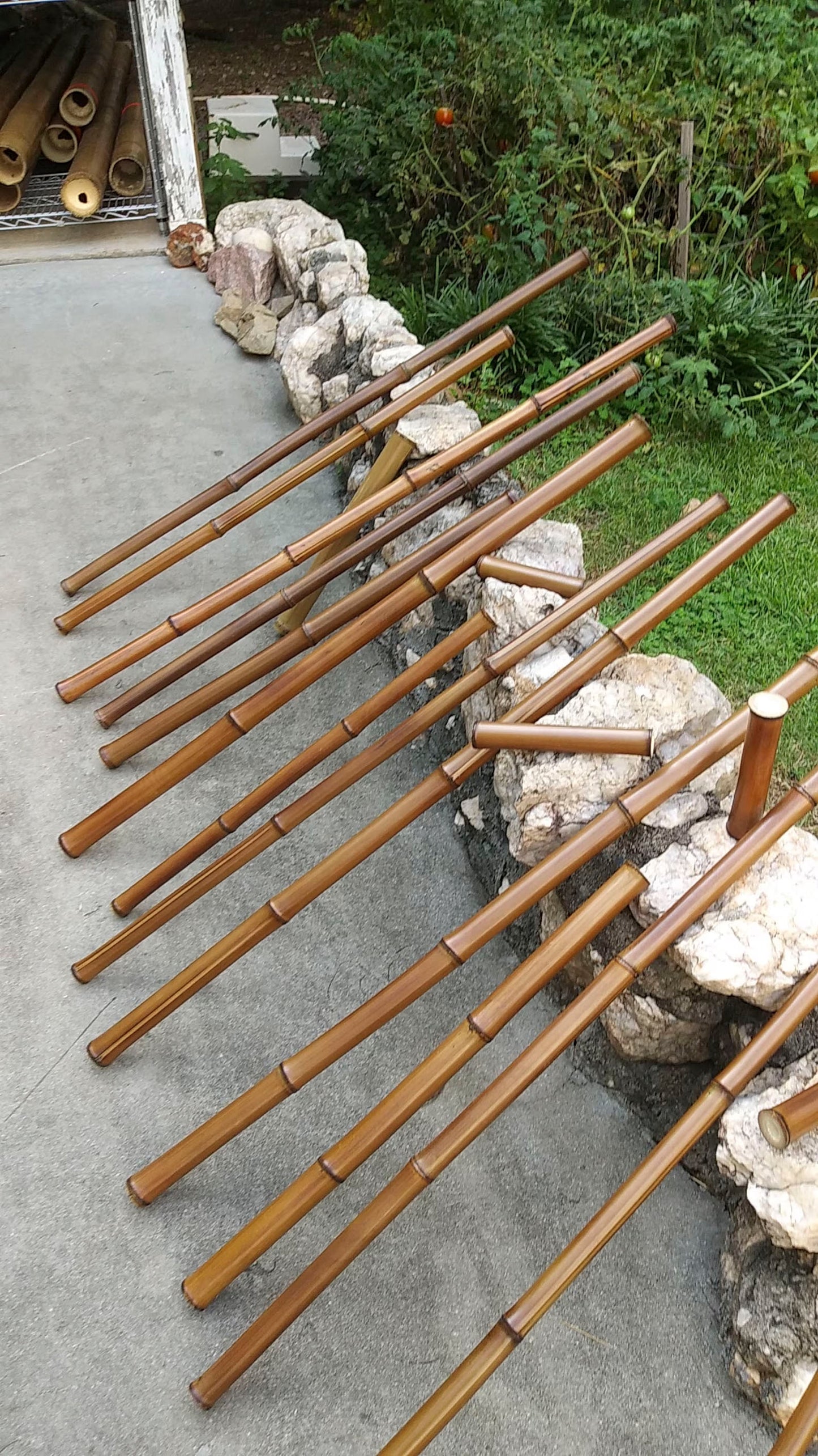 Six Pole Predicament Bamboo Set - 3/4" - 1.85"