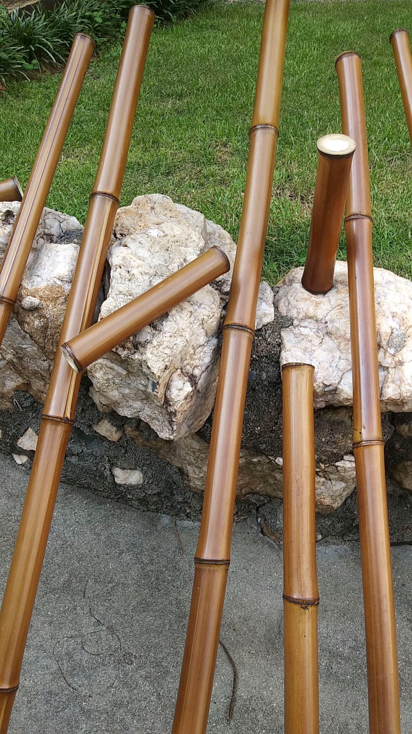 Six Pole Predicament Bamboo Set - 3/4" - 1.85"