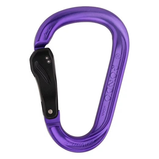 AustriAlpin Rondo slide autolock carabiner