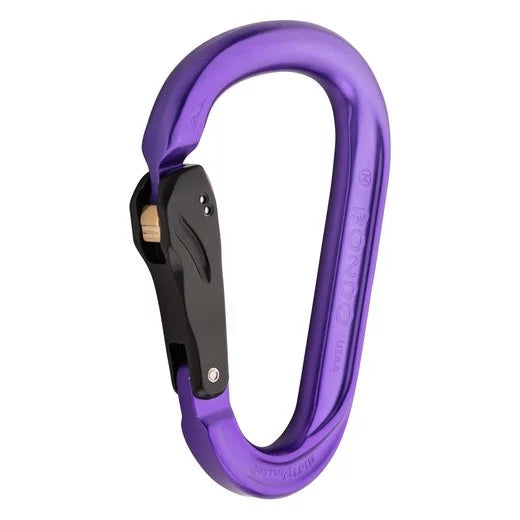 AustriAlpin Rondo slide autolock carabiner